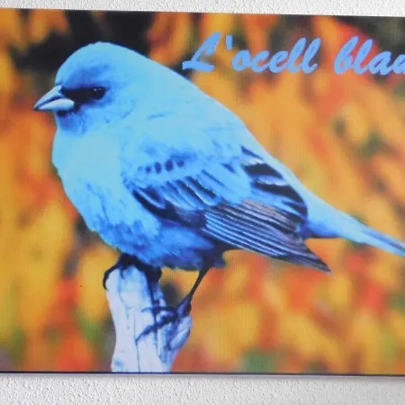 L'ocell Blau Holiday home Miami Playa